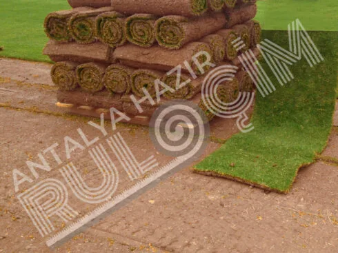 Antalya Hazır Rulo Çim