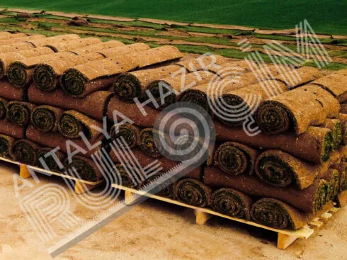 Antalya Hazır Rulo Çim