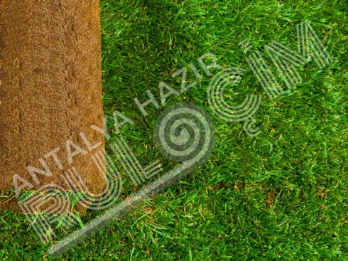 Antalya Hazır Rulo Çim